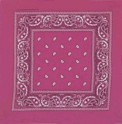 Dozen Fushia Pink Paisley Bandana