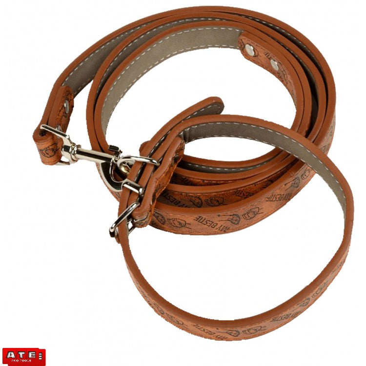 Leather Small Dog Leash